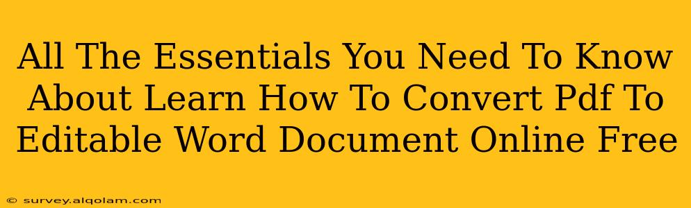 All The Essentials You Need To Know About Learn How To Convert Pdf To Editable Word Document Online Free