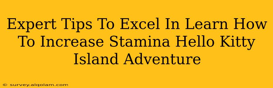 Expert Tips To Excel In Learn How To Increase Stamina Hello Kitty Island Adventure