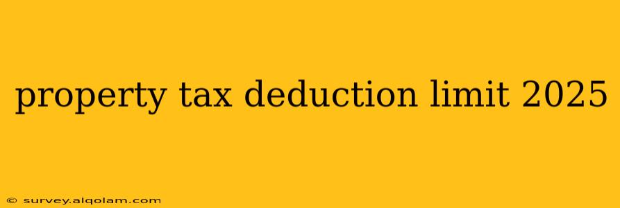 property tax deduction limit 2025